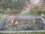 image of grave number 763671